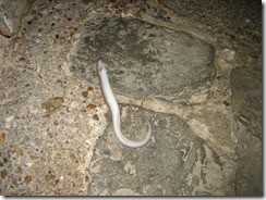 IMG_0671 IMG_0671