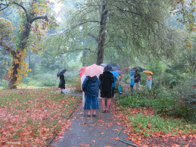 Pennsylvania in the rain