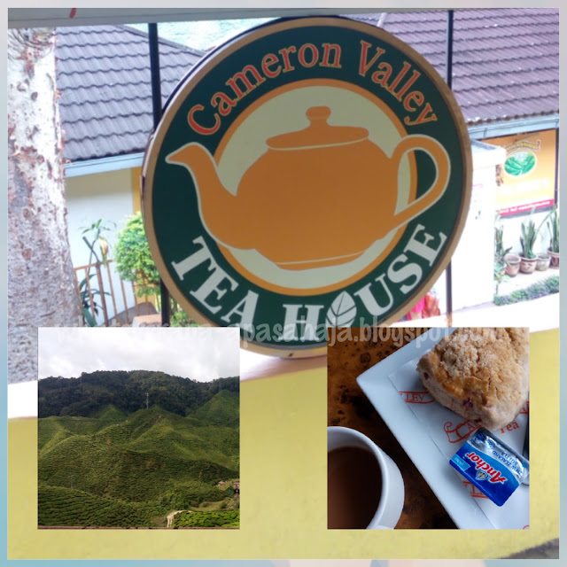 Cameron Valley Tea House