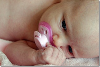 IMG_30852 IMG_30852