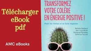 Transformez votre colère en énergie positive ! Poser les limites et se faire respecter  Livre d'Emmanuel Portanéry, Jean-Louis Muller et Nathalie Dedebant