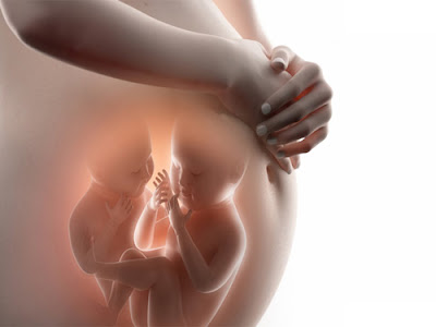 Loãng tinh trùng tác động đến chất lượng tinh trùng và khả năng mang bầu