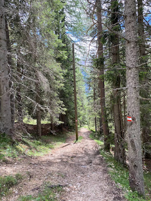 Sentieri sulle Dolomiti