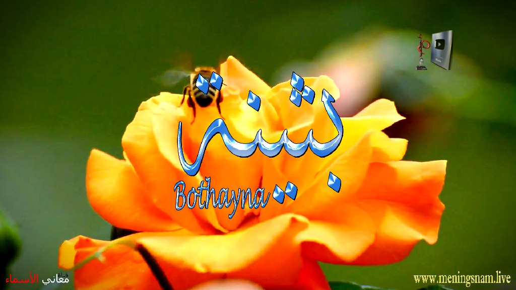 معنى اسم بثينة, وصفات, حاملة, هذا الاسم, Bothayna,