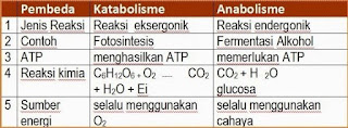 pembahasan biologi erlangga enzim dan metabolisme sel