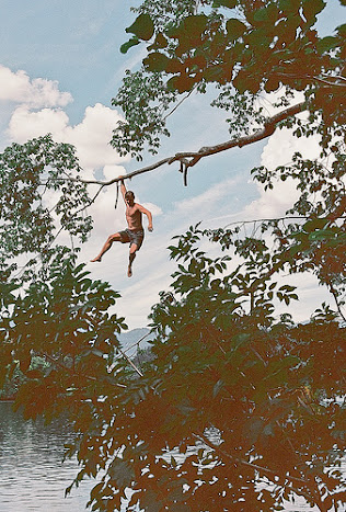 Jaka Bulc - photo of man climbing on tree branch