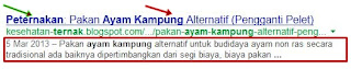 hasil+serp+google+pengaruh+meta+tag