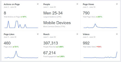 Liberty Chronicle Independent Facebook page view stats