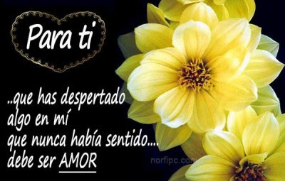 Descargar imagenes para whatsapp, con frases de amor chidas