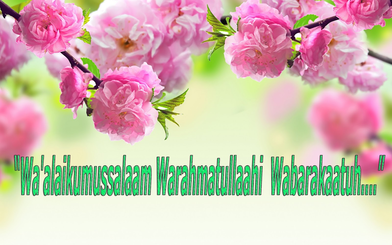 Kaligrafi Waalaikumsalam Wr  Wb  Gambar  Islami