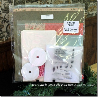 Christmas Card Making day 2012_grandprize