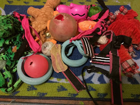 Dog toys and gear that did not survive September