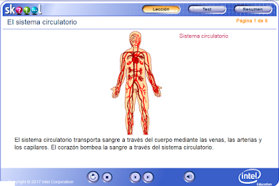 http://ww2.educarchile.cl/UserFiles/P0024/File/skoool/European_Spanish/Junior_Cycle_Level_1/biology/circ_system/index.html