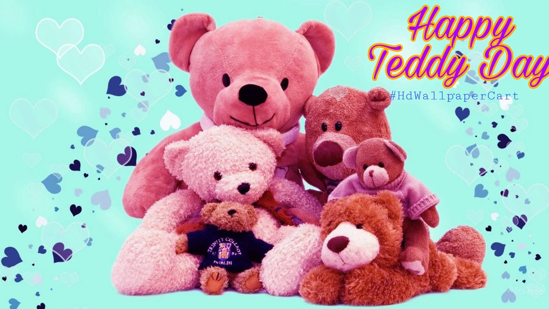 Teddy Day WhatsApp DP