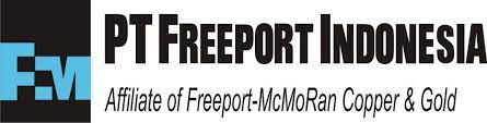 Loker Technical Expert, High Voltage di PT. Freeport Indonesia