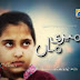 Watch Meri Maa By Geo Tv - Episode 9 - 8 November 2013 Online