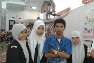  Fosil  Purba  Museum  Geologi  Bandung
