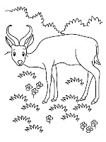 Antelope Eating Printable Kids Coloring Pages