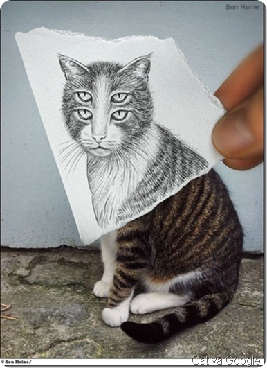cativagoogleoito