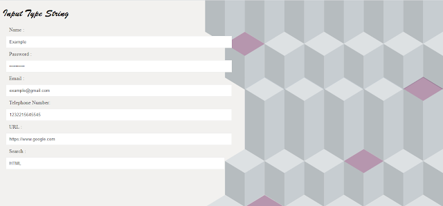 HTML Input Type