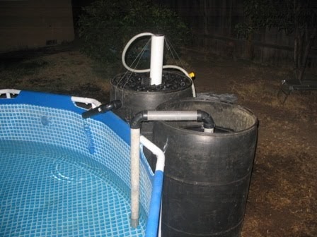 Home Aquaculture: Swimming pool system