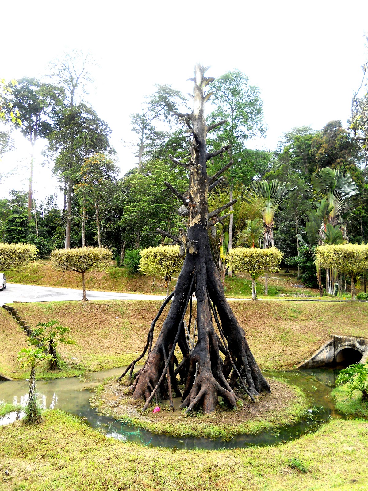 Taman Pertanian Malaysia - Taman Botani Negara, Shah Alam ...