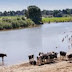 Hoogwatergeul Varik en rivierverruiming Brakel in structuurvisie