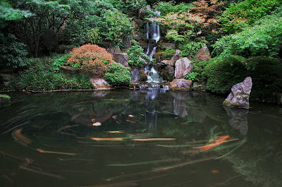 Wonderful garden Geography Seen On www.coolpicturegallery.us