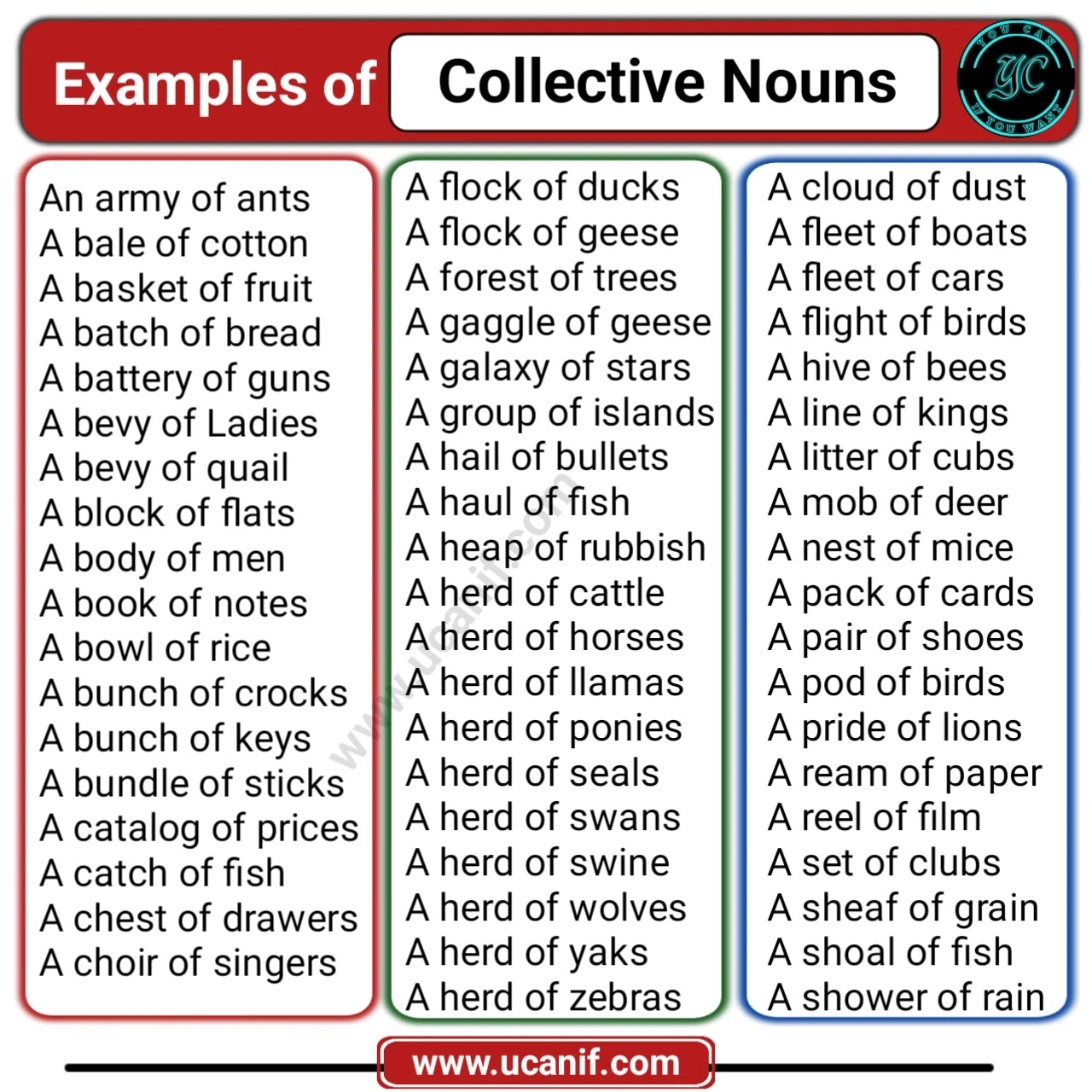 Collective Nouns Examples: Building the Basics of English Grammar