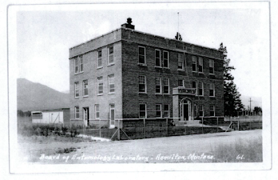 Vintage photo of Board of Entomology Laboratory in Hamilton, Montana