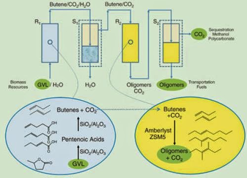 More On Biomass Poplar Trees Jet Fuel Science