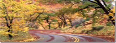 autumn road