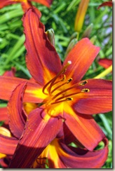 026
