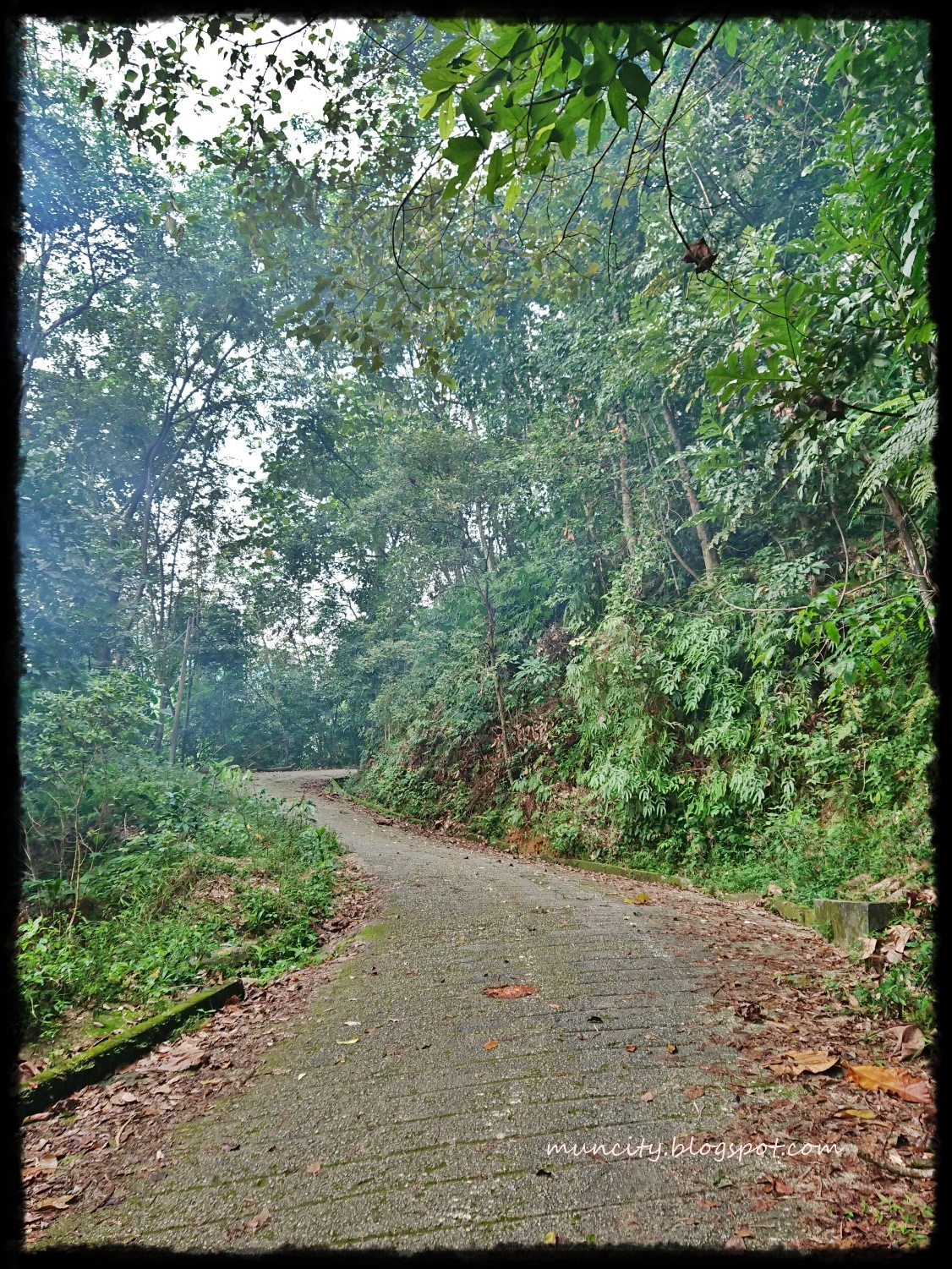 Lalalaland Hiking at Bukit Dinding 