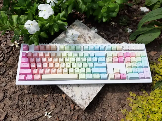 What Are Some Affordable Mechanical Keyboards