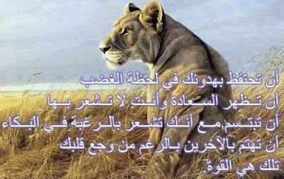 امثال وحكم ممتازة