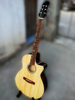 dan-guitar-acoustic-ga102