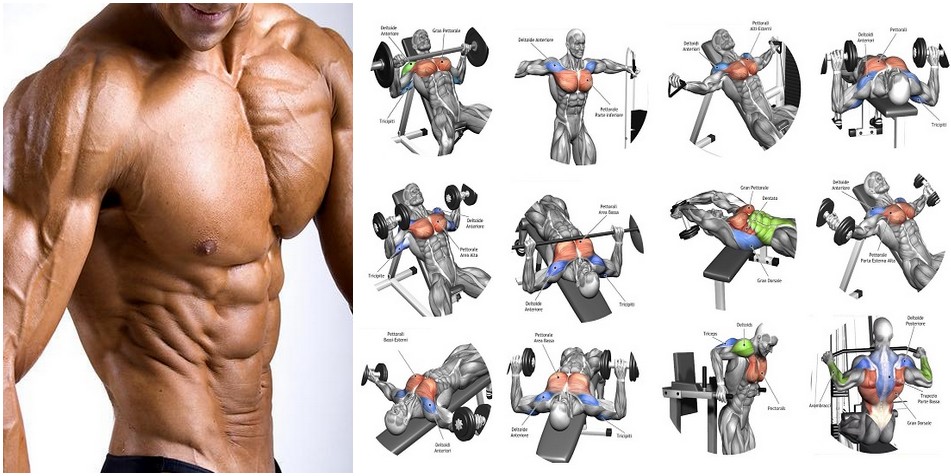 Best Chest Workout 40 Minutes Complete With 6 Exercises