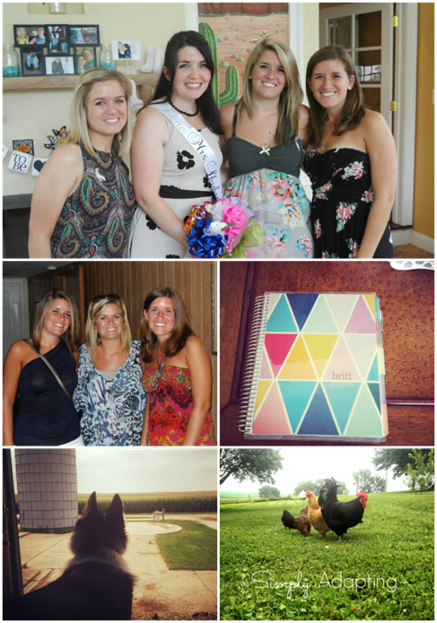 8.1 Collage