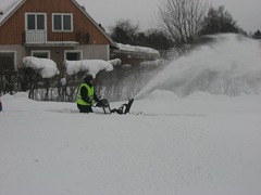 snöslunga henrik 1