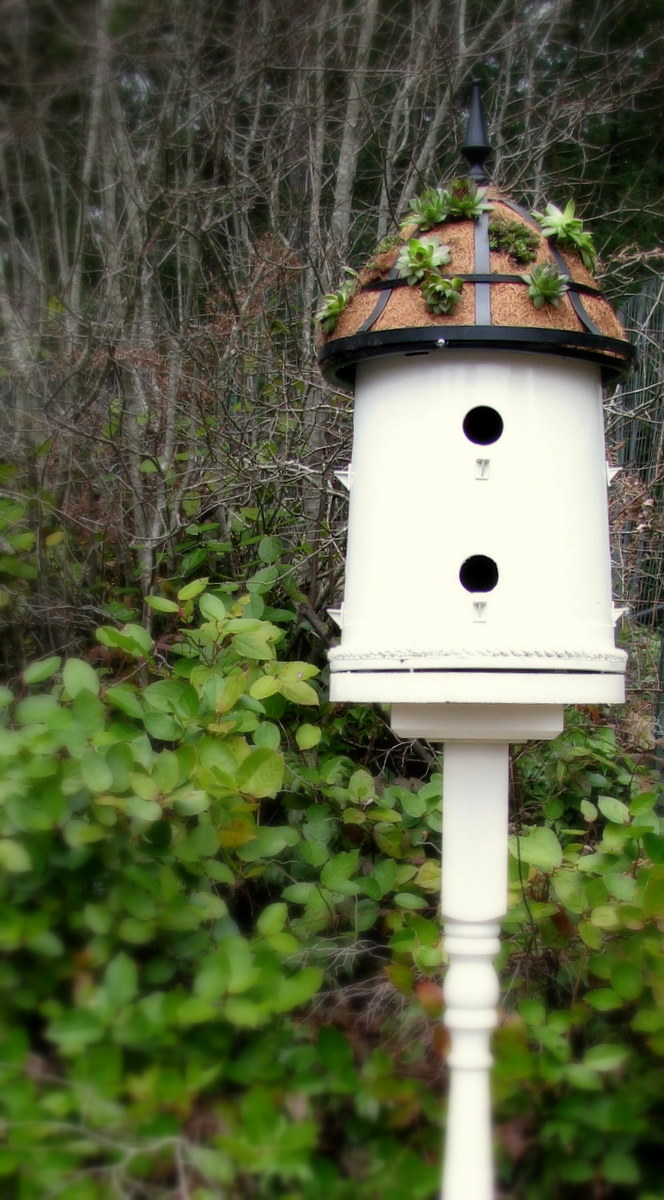 blue roof cabin: How to Make a Bucket into a Bird House