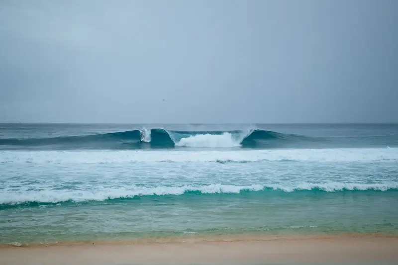 Lineup (Foto: Tony Heff)