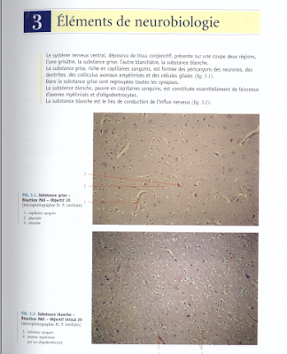 Télécharger Livre Gratuit Éléments de neurobiologie pdf