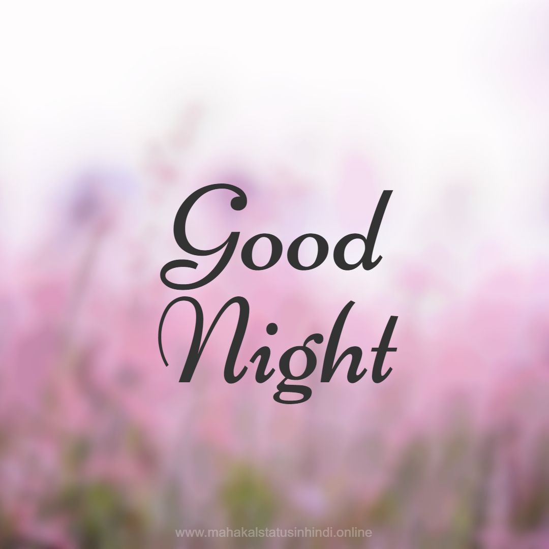 Good Night Images  Flower
