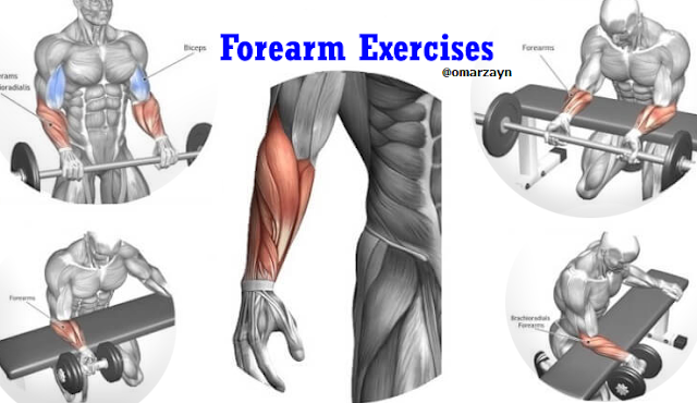 Forearm Workouts 