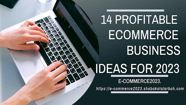 14 Profitable Ecommerce Business ideas for 2023