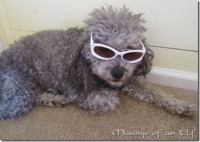 Navi in Sunglasses