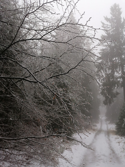 Sauerland wandern Wetter blog Schmallenberg Hunau