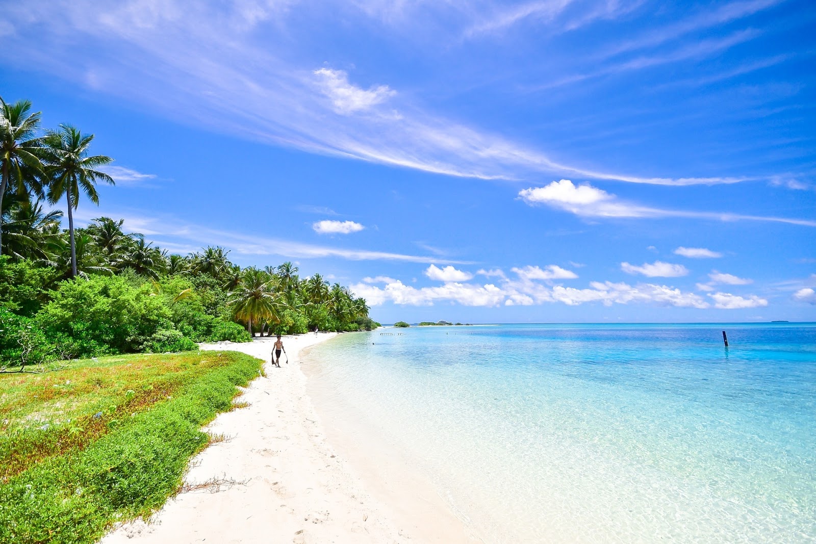 14 Gambar Pemandangan Pantai Indah Alami Gambar Indah