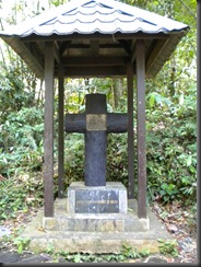 DSCN3097